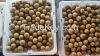 fresh longan