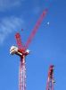 Sale TOWER CRANE-QTZ125