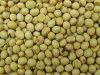 Soya Bean