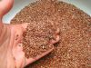 flex seed oil for sale