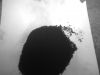 SELL CARBON BLACK