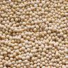 Sell soya bean