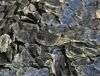 Sell exfoilated vermiculite