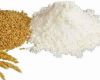 WHEAT FLOUR