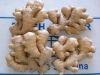 Sell fresh ginger