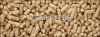 Wood Pellets