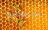 100% NATURAL POLYFLORAL BEE HONEY