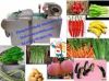 Sell Multi-function Vegetable cutter(video)008615838061376