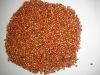 Australian Red Sorghum