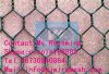 Sell Gabion Mesh/Hexagonal Wire Netting