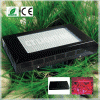 600W LED Grow light 2012news type CTG-07