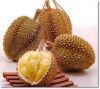 Sell Durian, Mangotean, Longon