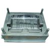 Refrigerator Mould