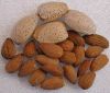 Sell almond