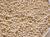 Organic Soybeans