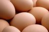 Chicken Egg, Ostrich Egg
