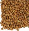 Sell pigeon pea