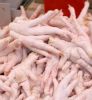 Export Chicken Paw | Chicken Feet Suppliers | Poultry Feet Exporters | Chicken Feets Traders | Processed Chicken Paw Buyers | Frozen Poultry Paw Wholesalers | Low Price Freeze Chicken Paw | Best Buy Chicken Paw | Buy Chicken Paw | Import Chicken Paw | Chi