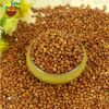 2017 non-gmo organic glutinous red sorghum sticky sorghum