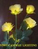 Sell decoration lights