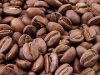 Arabica coffee beans