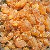 GUM ARABIC