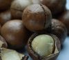 Macadamia Nuts
