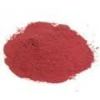 Sell Red Beet Root Powder Extract