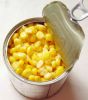 Canned corn, canned sweet corn, canned  baby corn