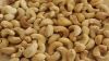 Cashew Nuts