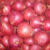 Sell INDIAN RED ONION