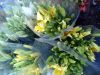 Sell Lilium