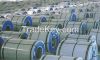 Sell Cold Rolled Steel Coil