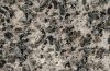 Sell Leopard Skin Granite GS1061