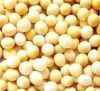 sell Soy bean