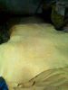 Looking buyer for Full chrome Buffalo crust lining leather
