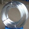 Sell Galvanized iron wire