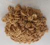 Walnuts Kernels