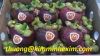 Sell fresh Mangosteen