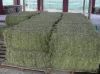 Alfalfa Hay for sale