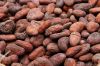 Cocoa Beans