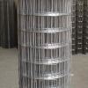 Sell welded wire mesh