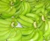 CARVENDISH GREEN BANANA