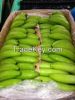 FRESH GREEN CAVENDISH BANANA