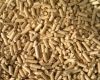 Sell wood pellet chips