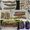 Sell Dried Sea Cucumber