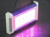 sell led grow light 150W (YOUTHS)