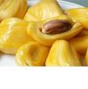 Jackfruit