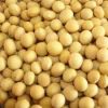 non gmo soybean, organic soya bean, soybean