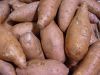 fresh sweet potatoes